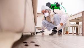 Best Residential Pest Control  in Woodbine, NJ